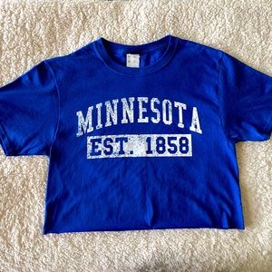2/$15 Minnesota Crop Top (Vintage)
